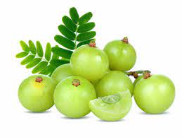 Unexpected Health and Wellness Benefits of Amla