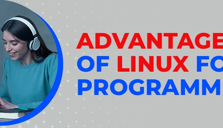 What are the benefits of Linux for developers?